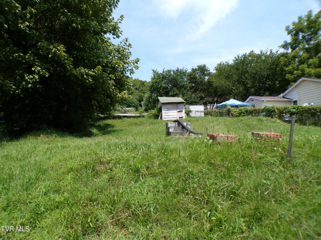Photo of 1724 Mcgee Street, Kingsport, TN 37660 (MLS # 9999635)