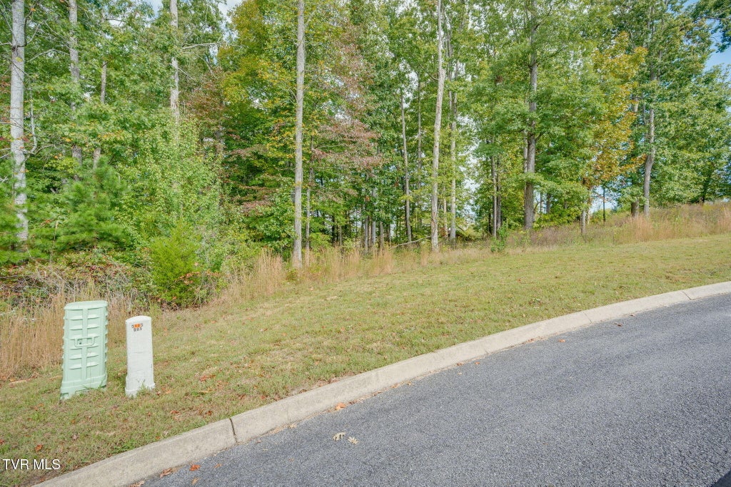 Photo of Tbd Tumbleweed Trail, Rutledge, TN 37861 (MLS # 10002295)