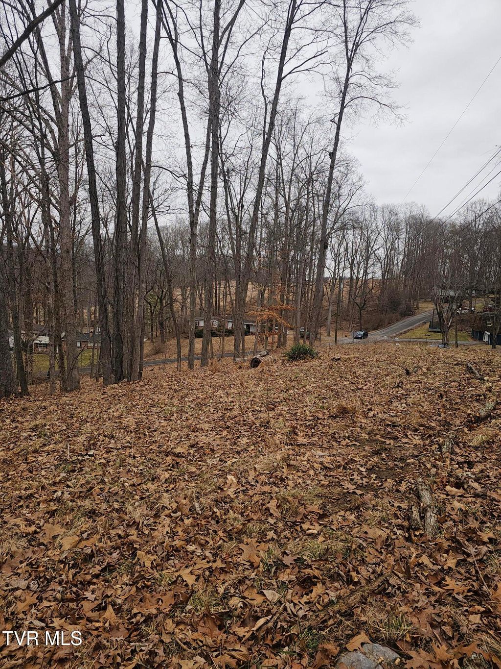 Photo of Tbd Grove Park Drive, Bristol, TN 37620 (MLS # 9991348)