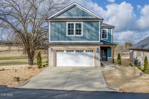 Photo of 207 Monroe Drive, Bristol, TN 37620 (MLS # 9989958)