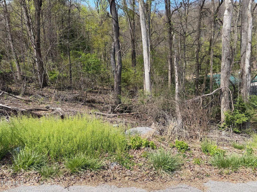 Photo of 513 San Antonio Drive, Bristol, TN 37620 (MLS # 9993585)