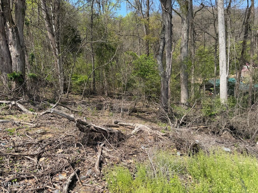 Photo of 513 San Antonio Drive, Bristol, TN 37620 (MLS # 9993585)