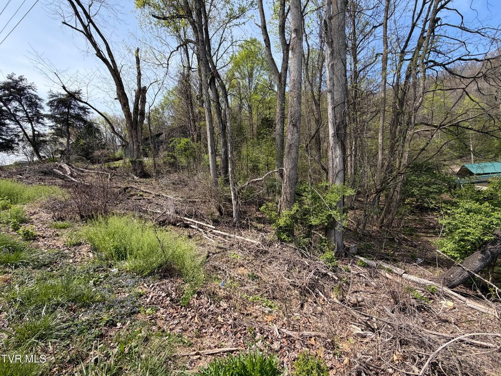 Photo of 513 San Antonio Drive, Bristol, TN 37620 (MLS # 9993585)