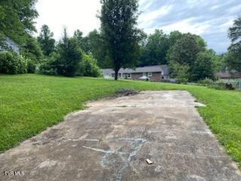 Vacant Land For Sale - 3808 Deepwood Drive<br/> Washington County, Johnson City, TN 37601