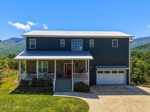Photo of 270 Sonshine Ridge Road, Cosby, TN 37722 (MLS # 9995454)