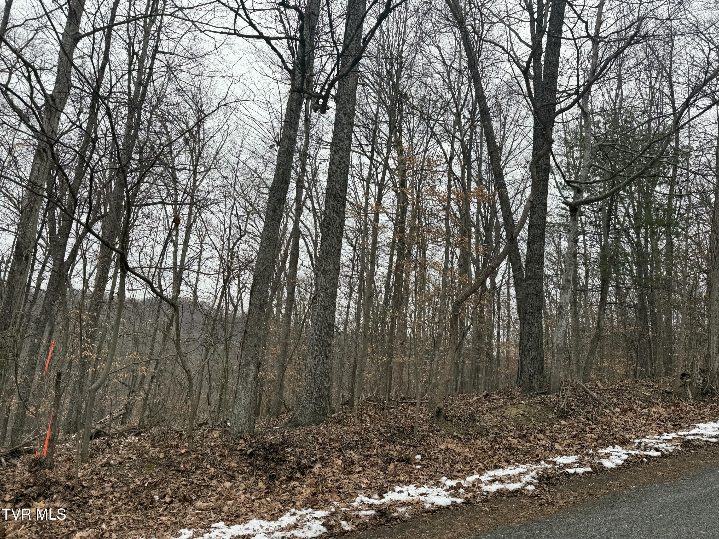 Tbd Lot 4 Skyline Drive, Bristol, Tennessee image 1