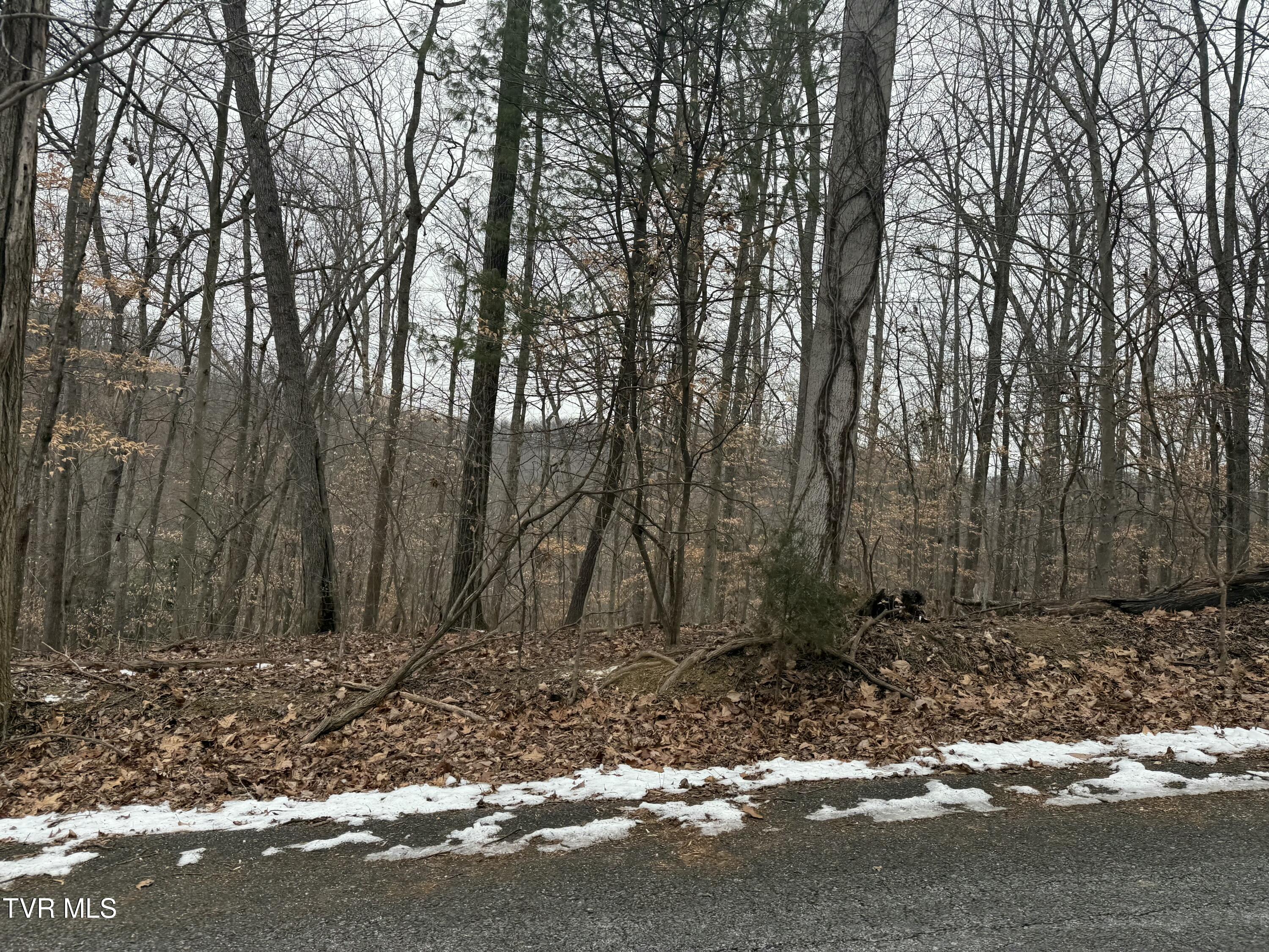 Tbd Lot 4 Skyline Drive, Bristol, Tennessee image 2