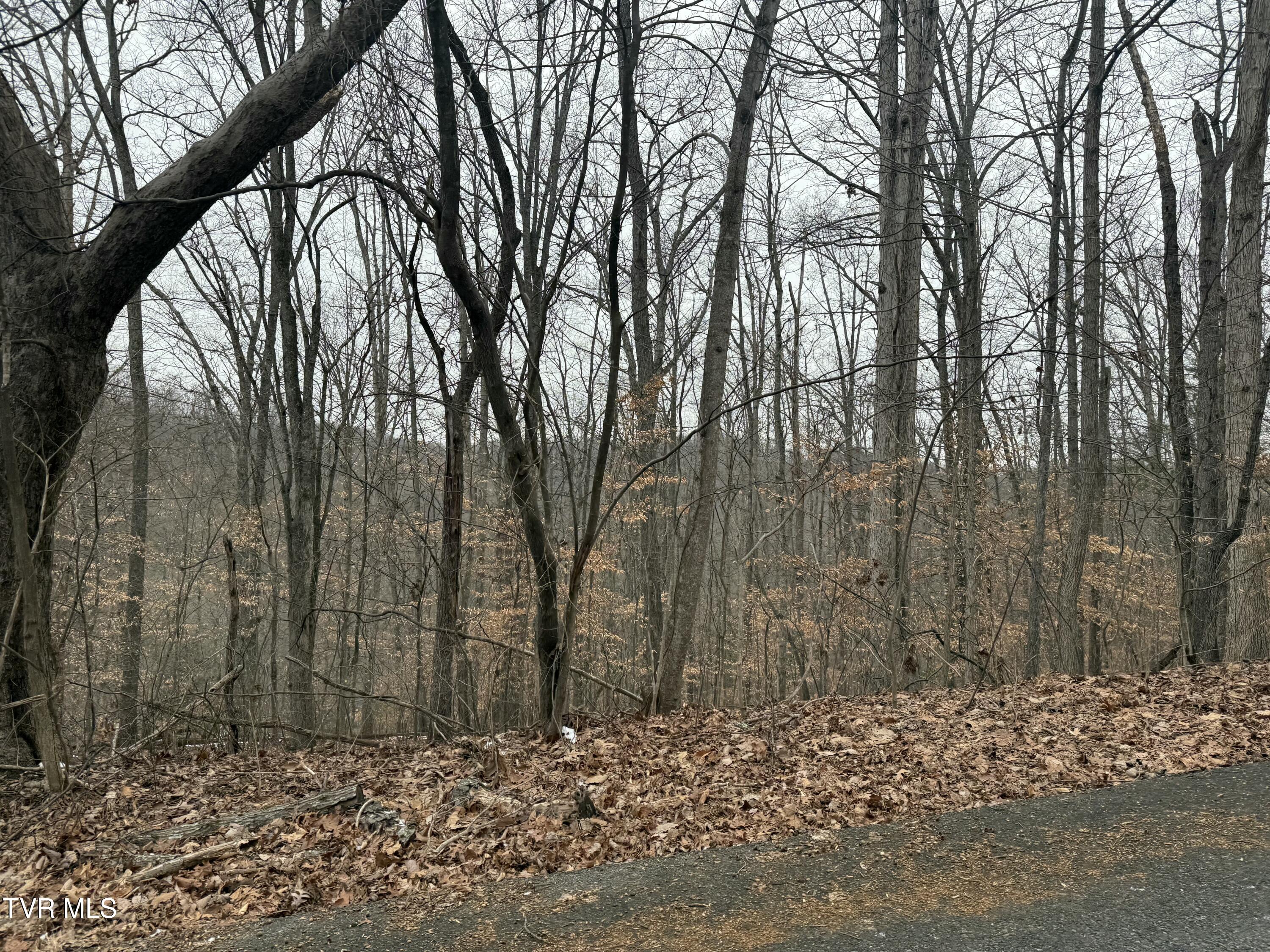 Tbd Lot 4 Skyline Drive, Bristol, Tennessee image 3