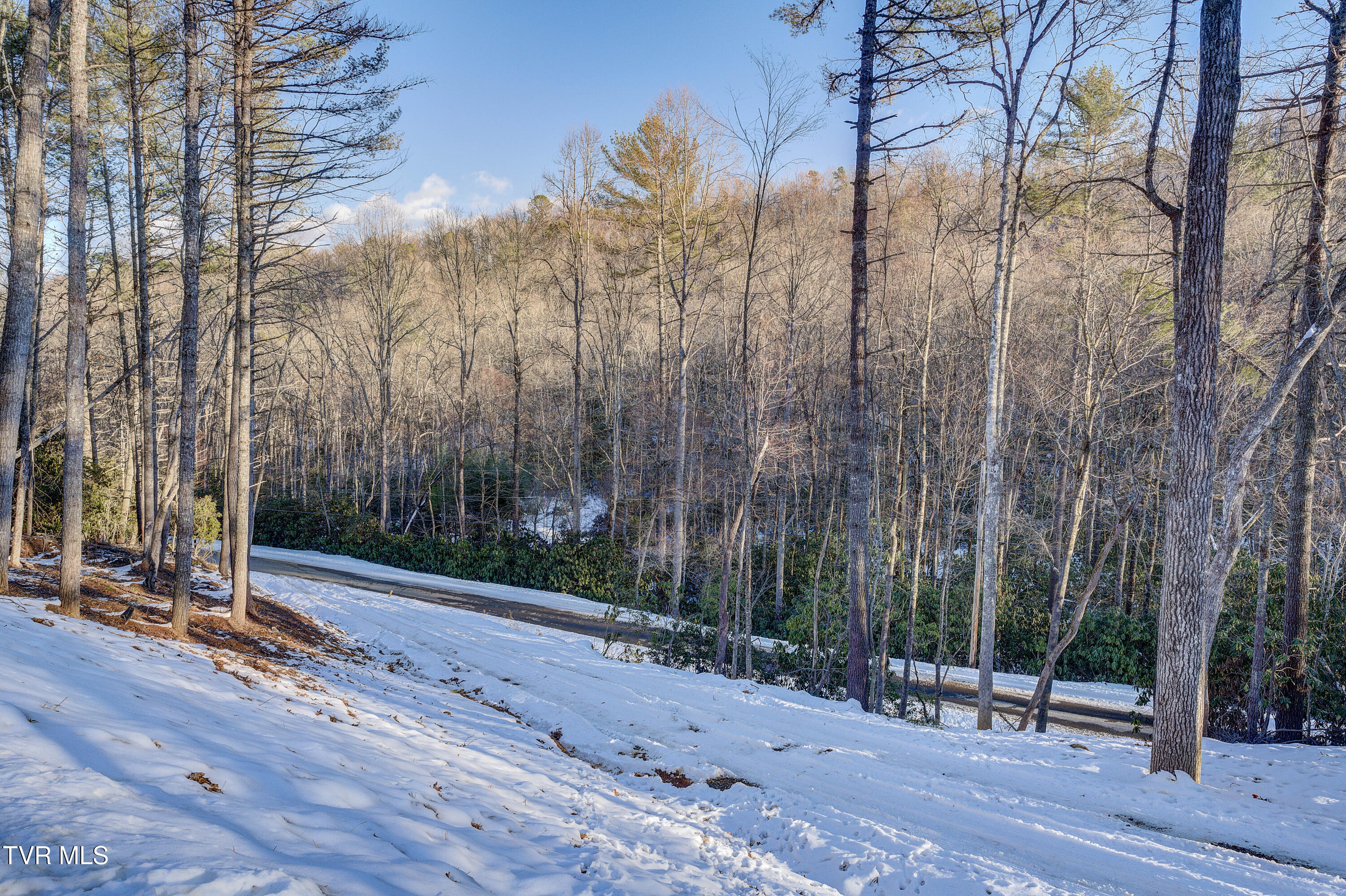 1720 Mining Town Road, Mountain City, Tennessee image 12