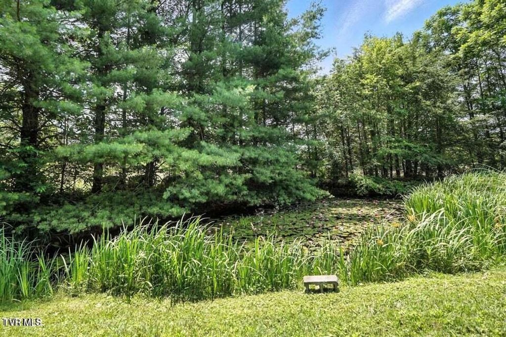 Photo of 1037 Swift Hollow Road, Mountain City, TN 37683 (MLS # 9989668)