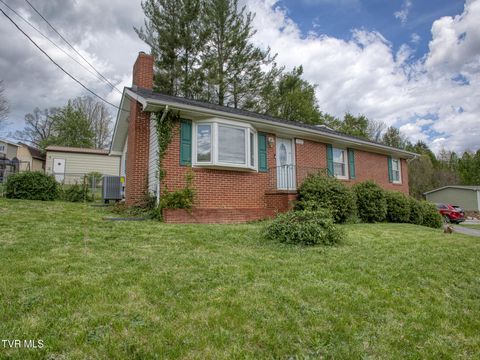 Homes For Sale - 1721 Siam Road<br/> Elizabethton, TN 37643
