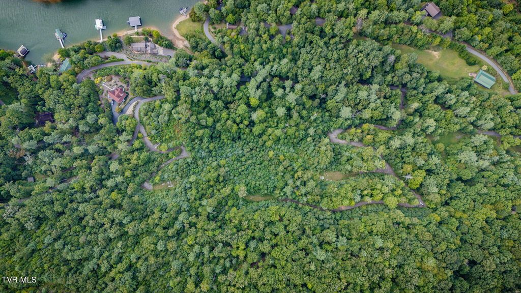 Photo of Tbd Cove Ridge Road, Butler, TN 37640 (MLS # 9985666)