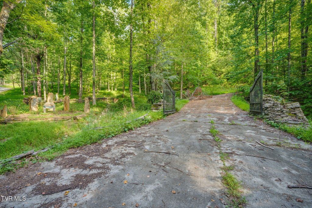 Photo of Tbd Cove Ridge Road, Butler, TN 37640 (MLS # 9985666)