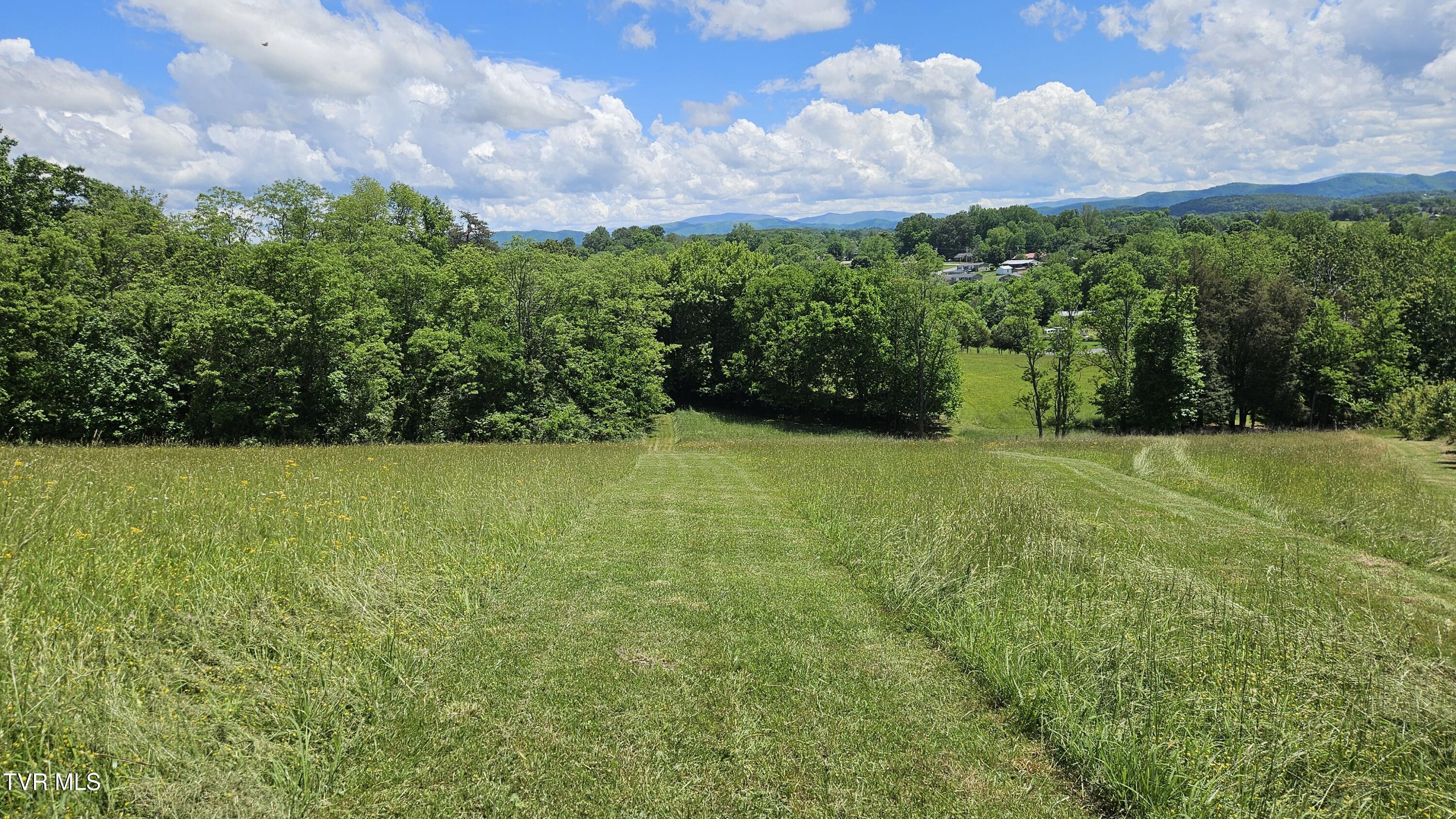 328 Telford Road, Telford, Tennessee image 6