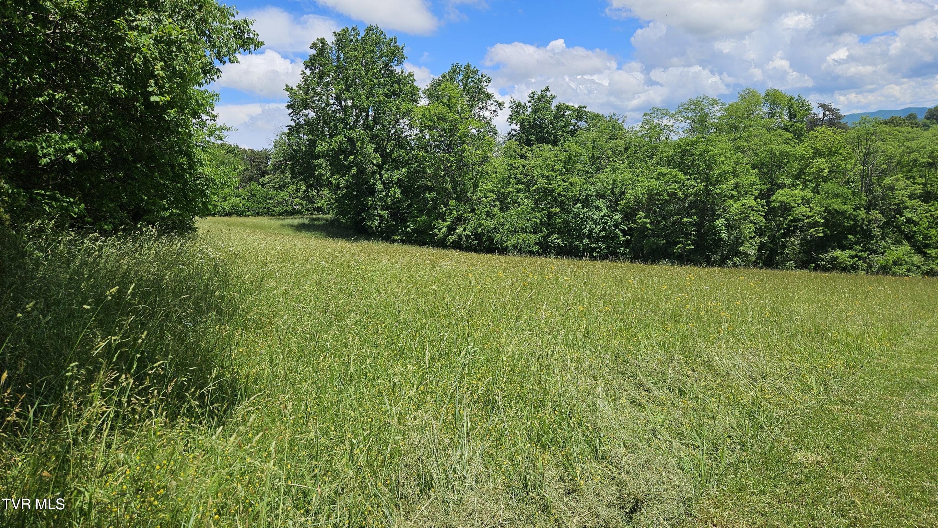 328 Telford Road, Telford, Tennessee image 3