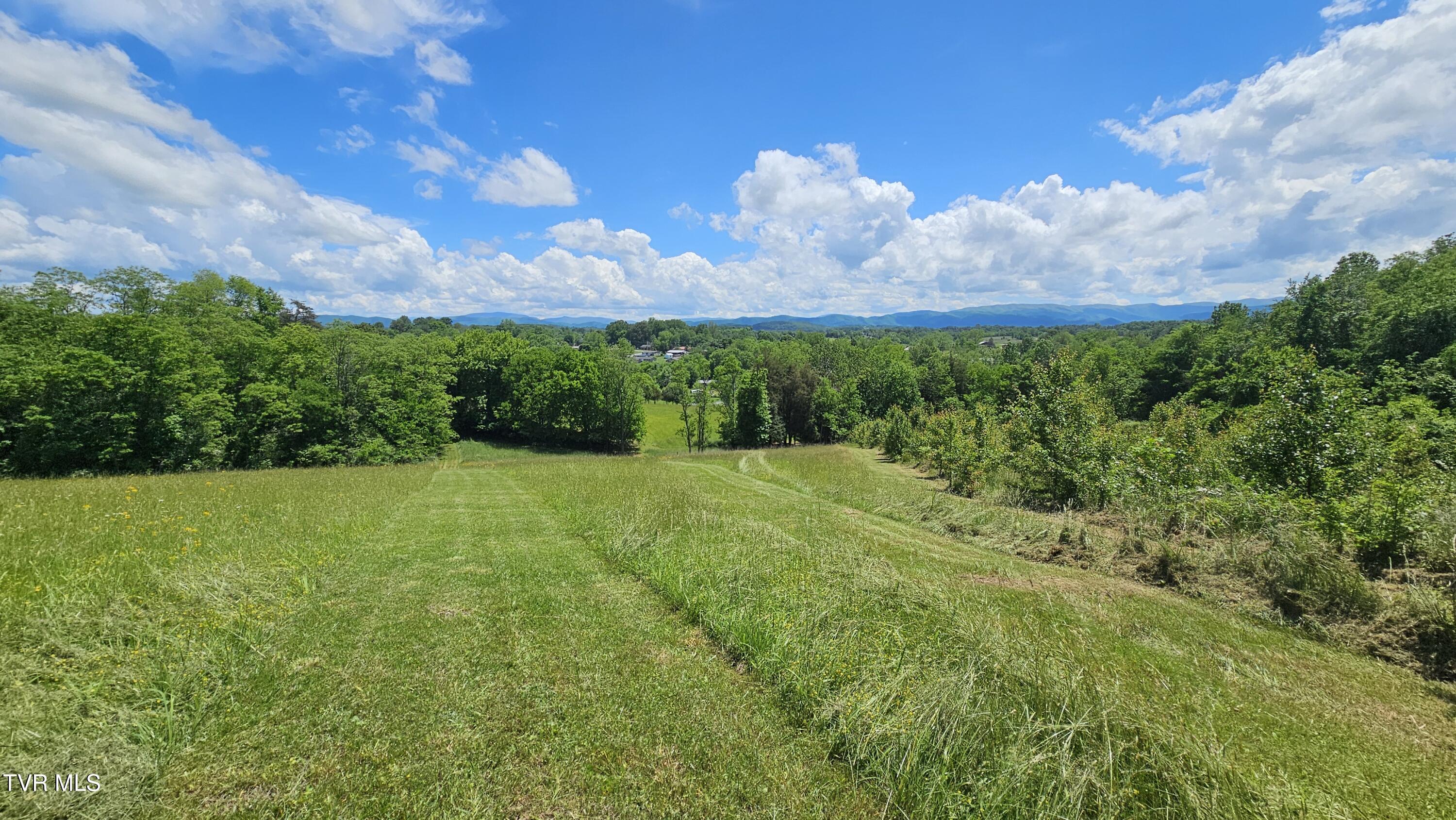 328 Telford Road, Telford, Tennessee image 10