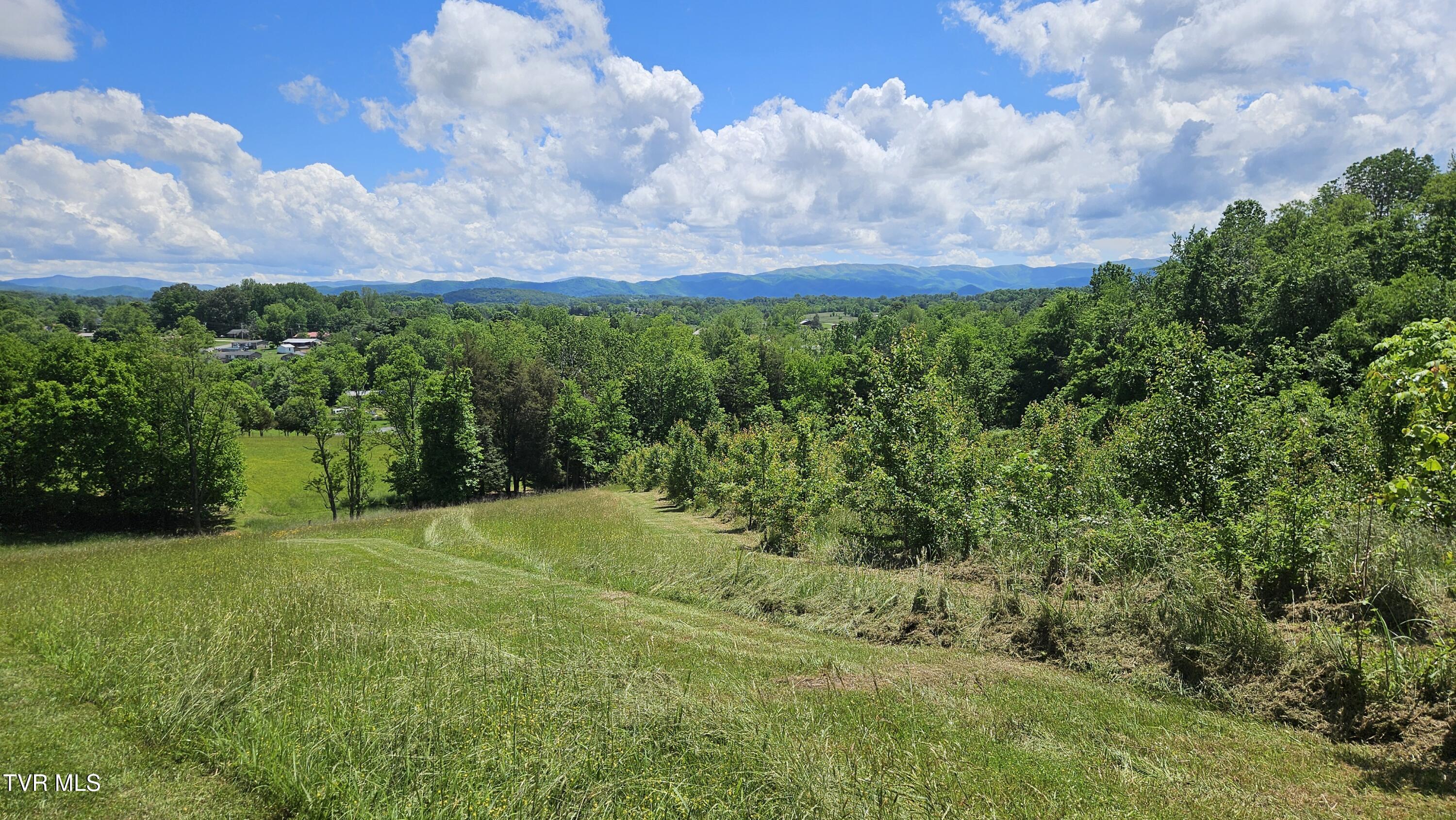328 Telford Road, Telford, Tennessee image 4