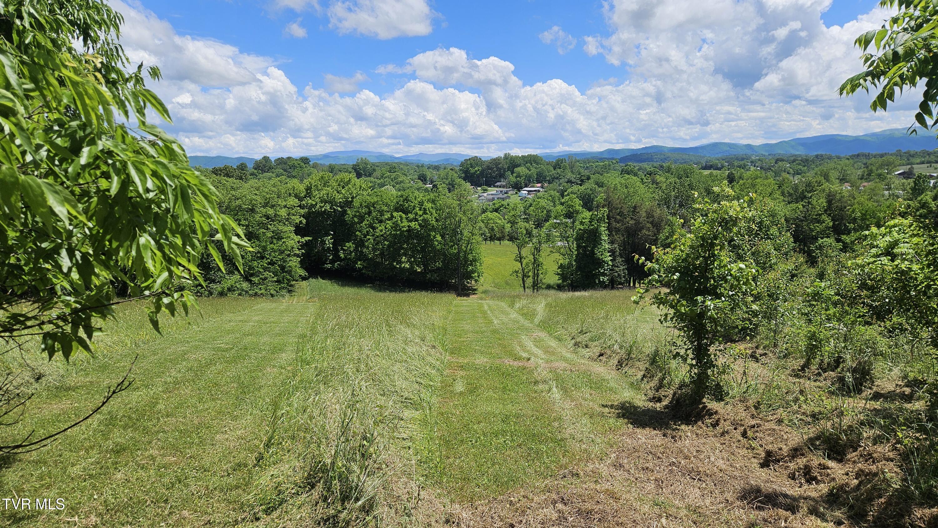 328 Telford Road, Telford, Tennessee image 2