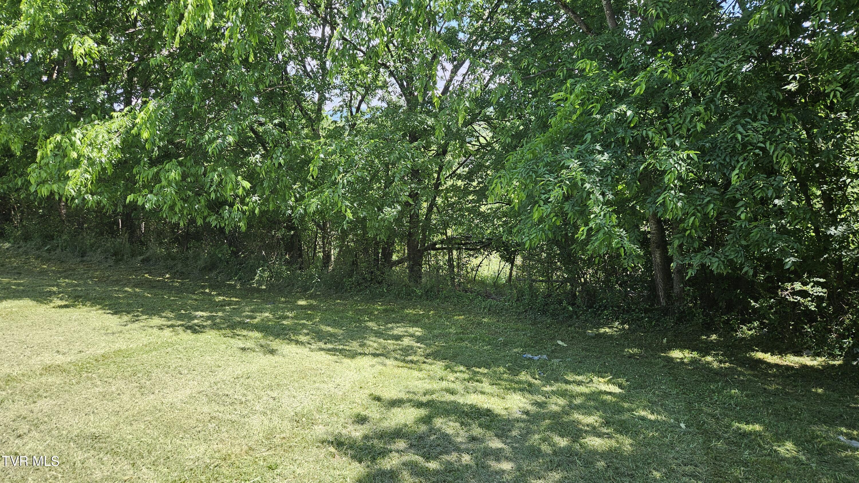 328 Telford Road, Telford, Tennessee image 22