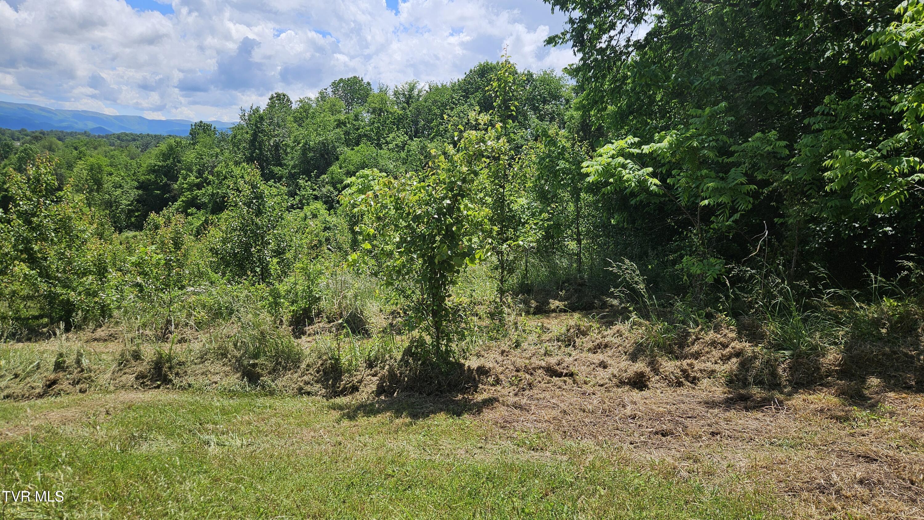 328 Telford Road, Telford, Tennessee image 5