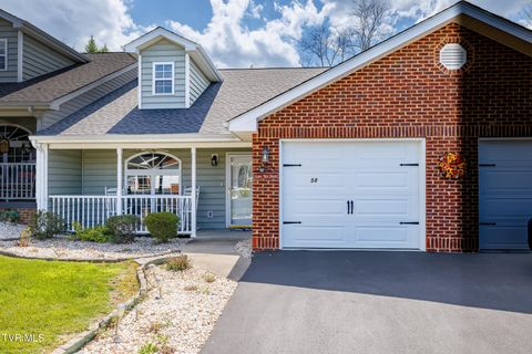 Photo of 58 Sagewood Court #58, Jonesborough, TN 37659 (MLS # 9993321)