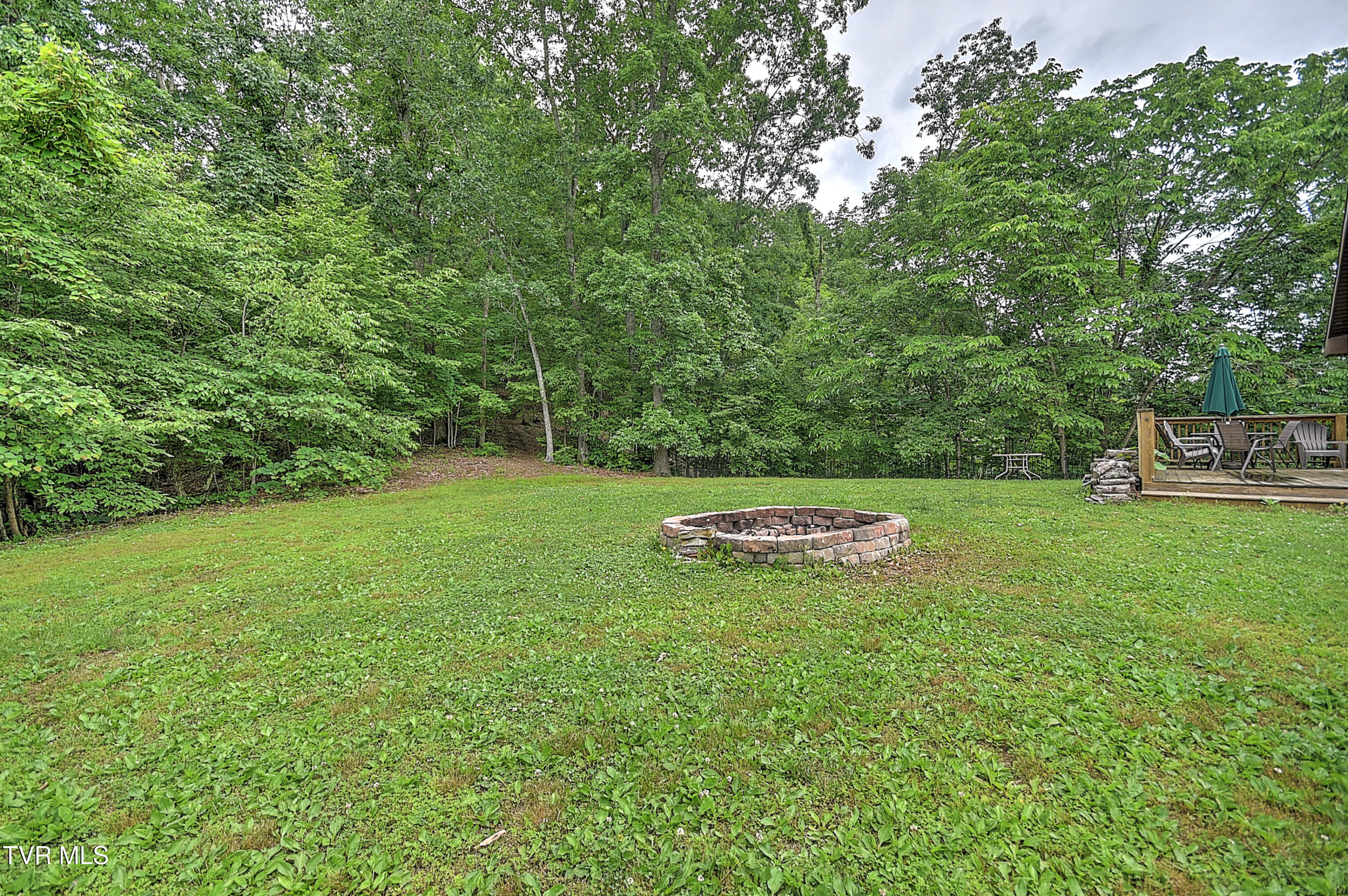 669 Big Hollow Road, Blountville, Tennessee image 41