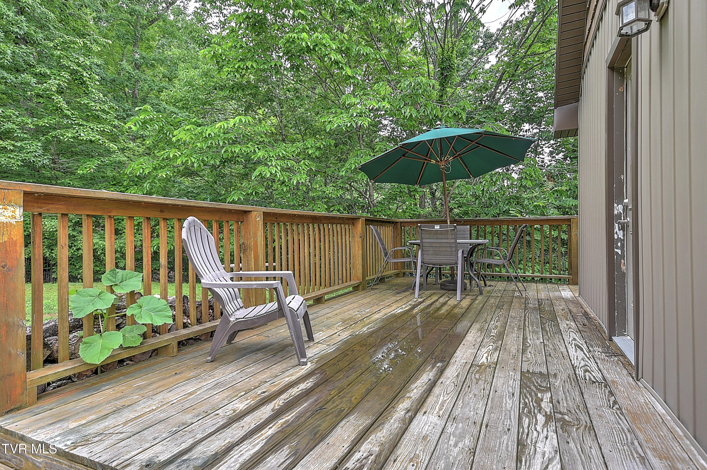 669 Big Hollow Road, Blountville, Tennessee image 49