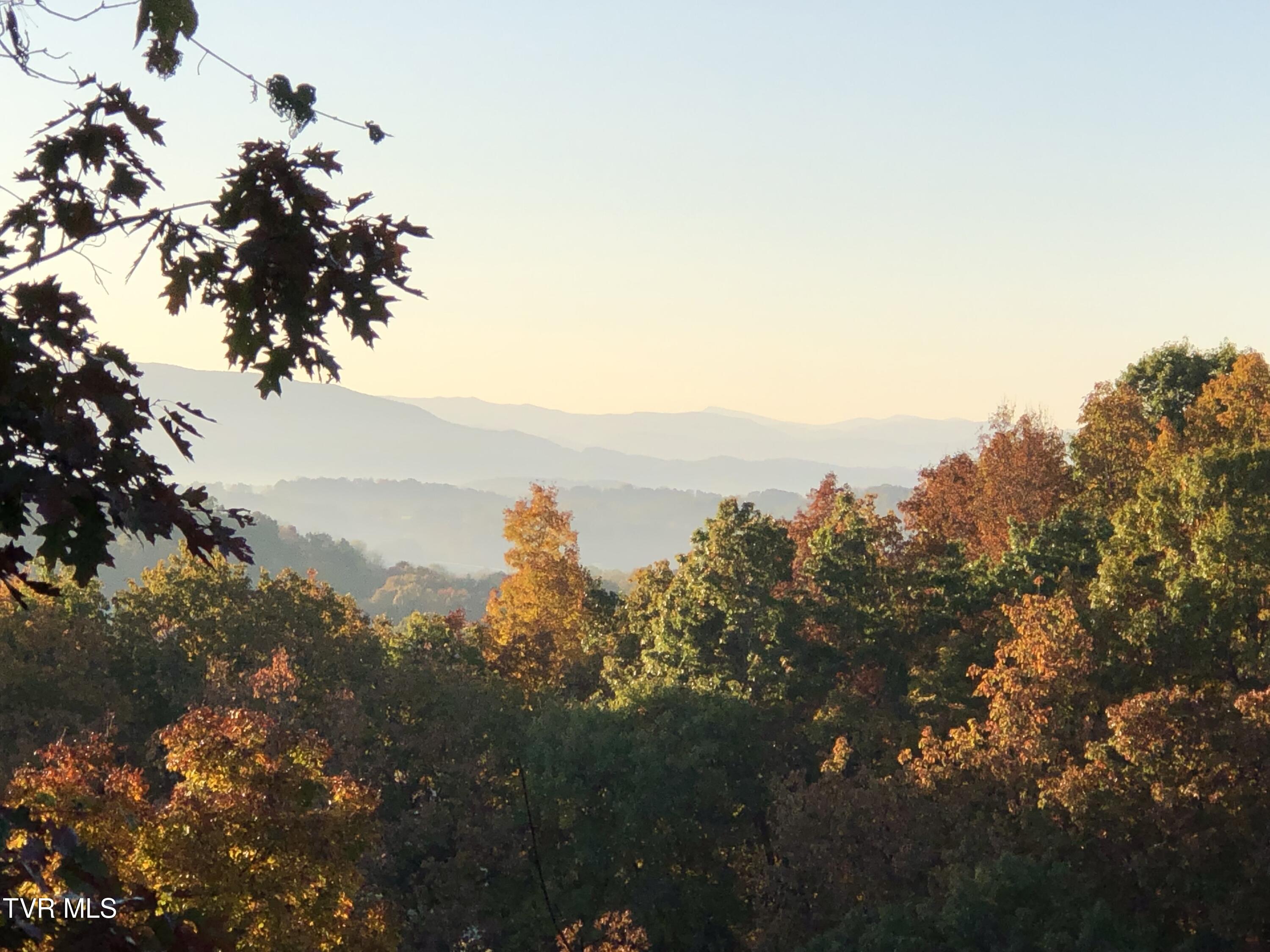 669 Big Hollow Road, Blountville, Tennessee image 4
