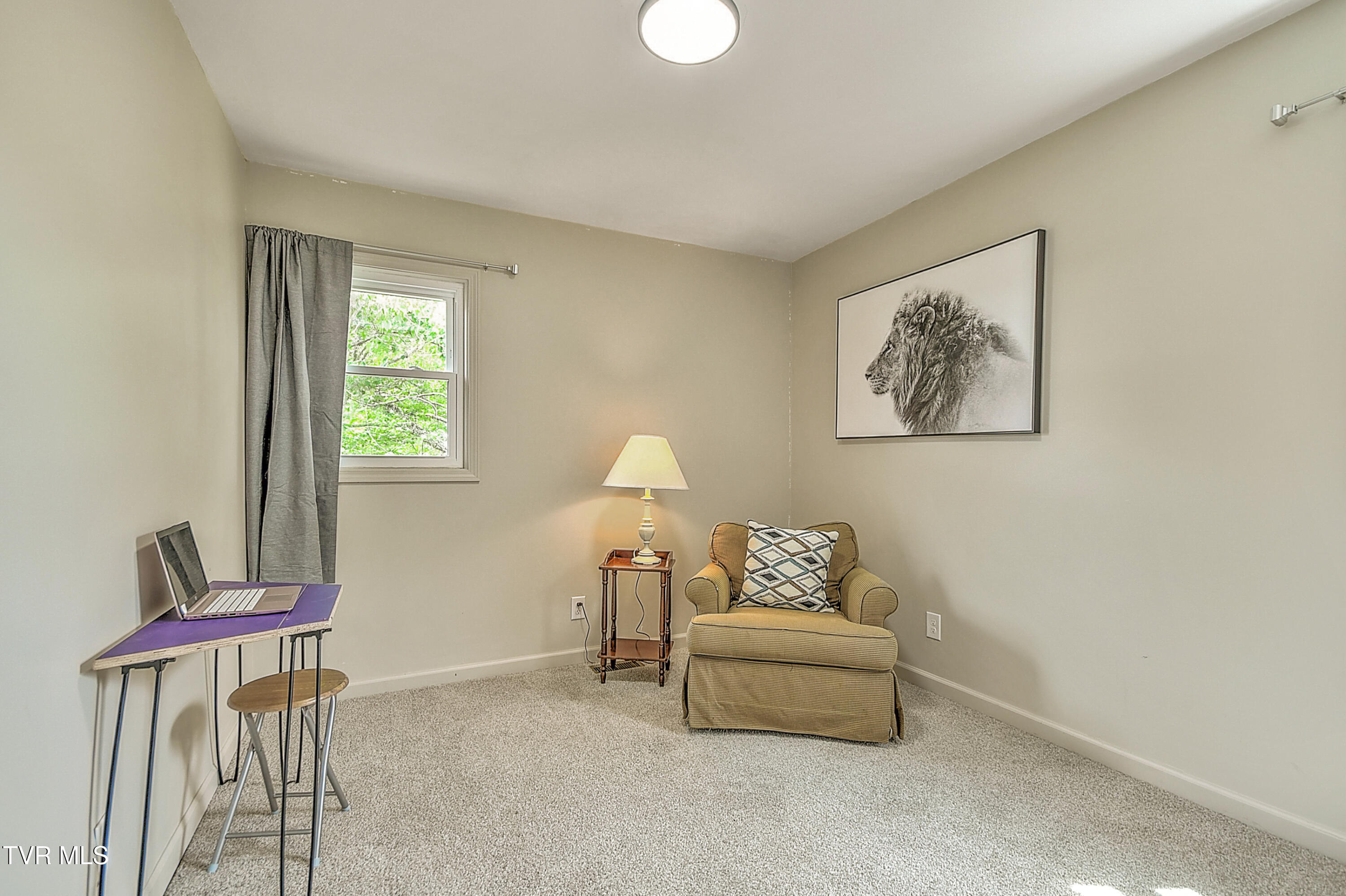 1026 Clark St Street, Bristol, Virginia image 19