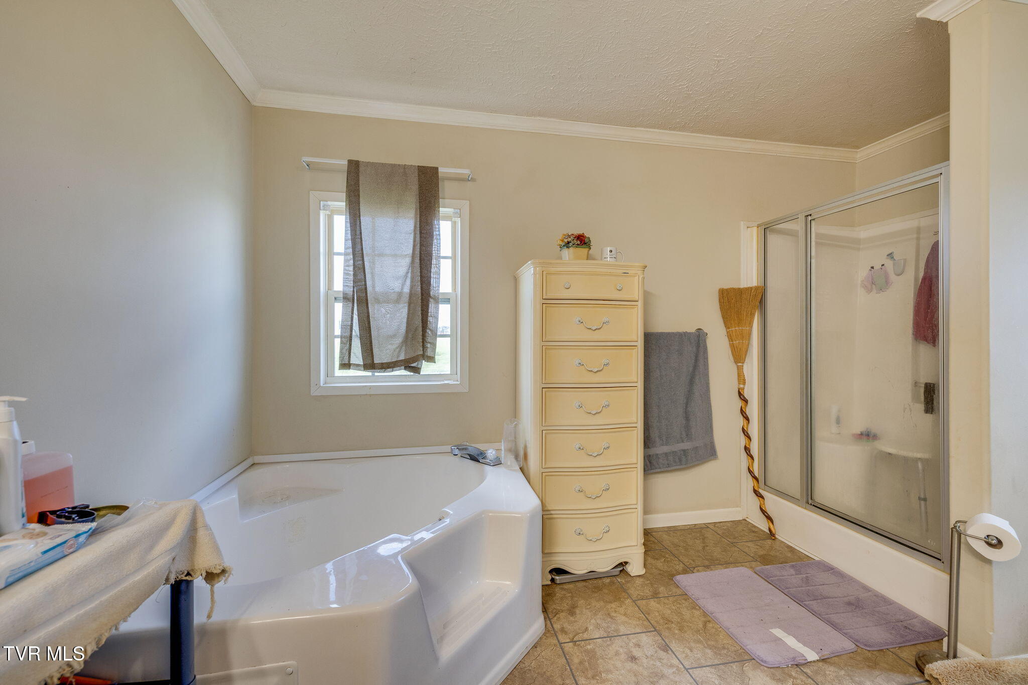103 Stockton Road, Chuckey, Tennessee image 21