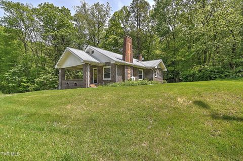 Photo of 275 Tiger Creek Road, Roan Mountain, TN 37687 (MLS # 9994980)