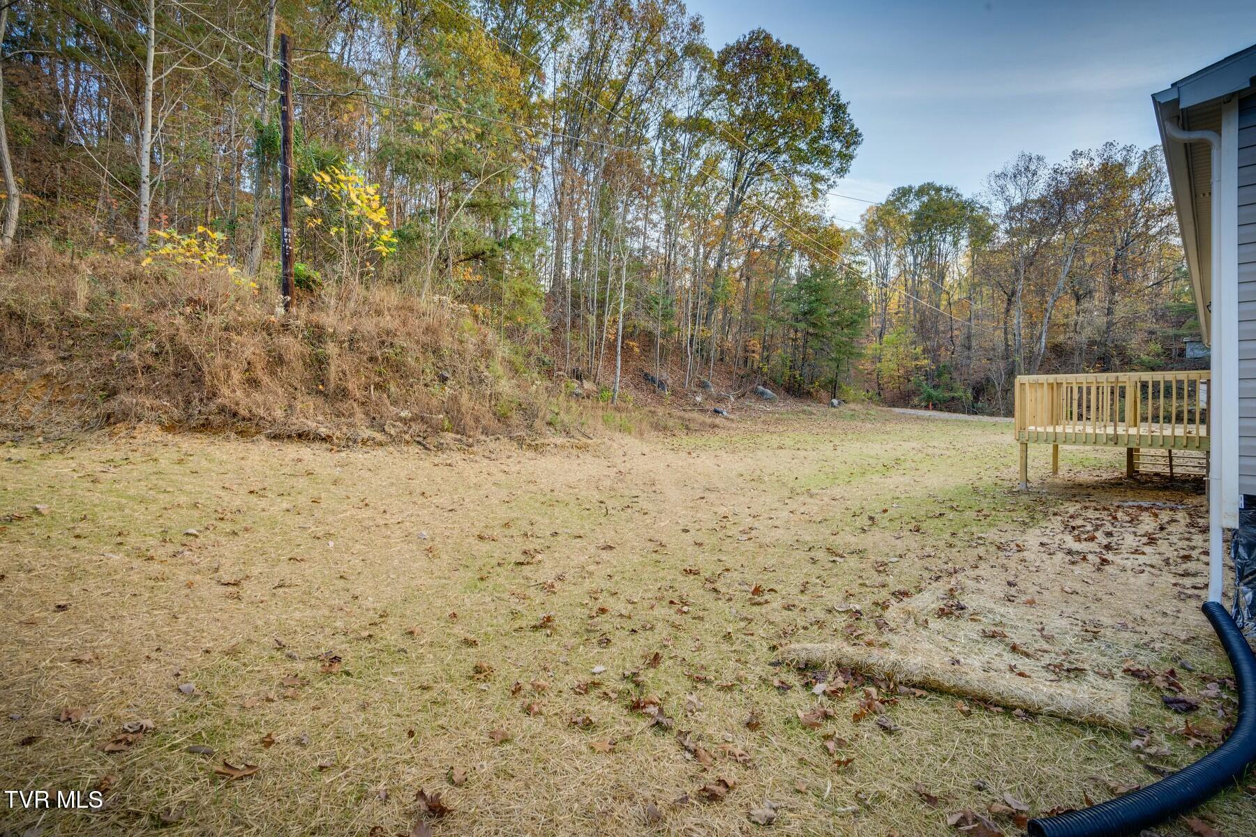 321 Hillcrest Street, Rogersville, Tennessee image 33