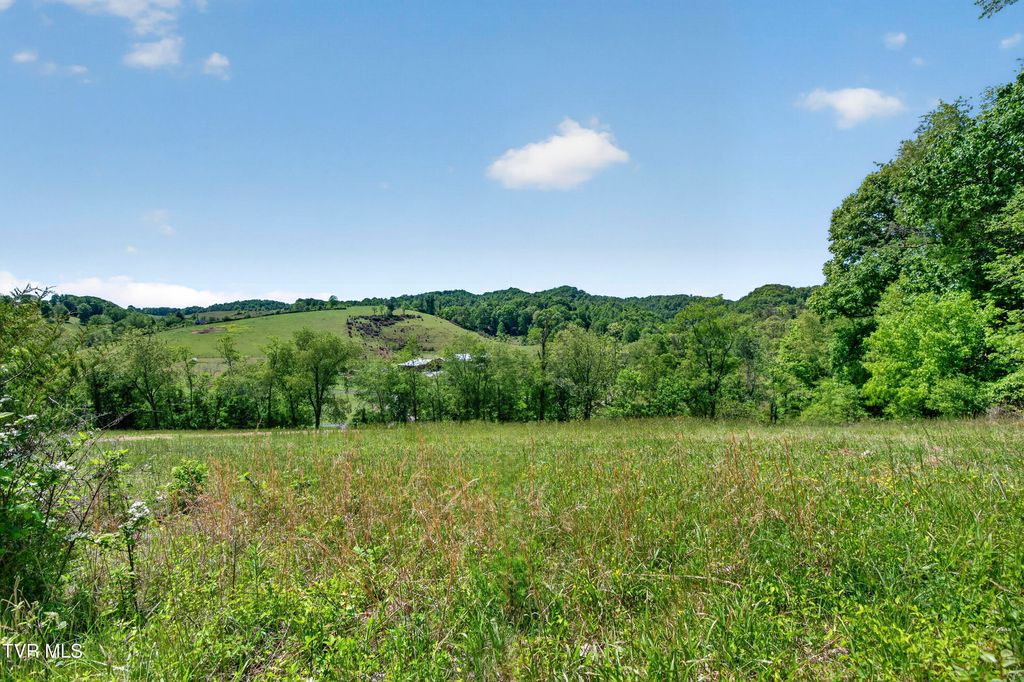 Photo of 12392 Rich Valley Road, Bristol, VA 24202 (MLS # 9995278)