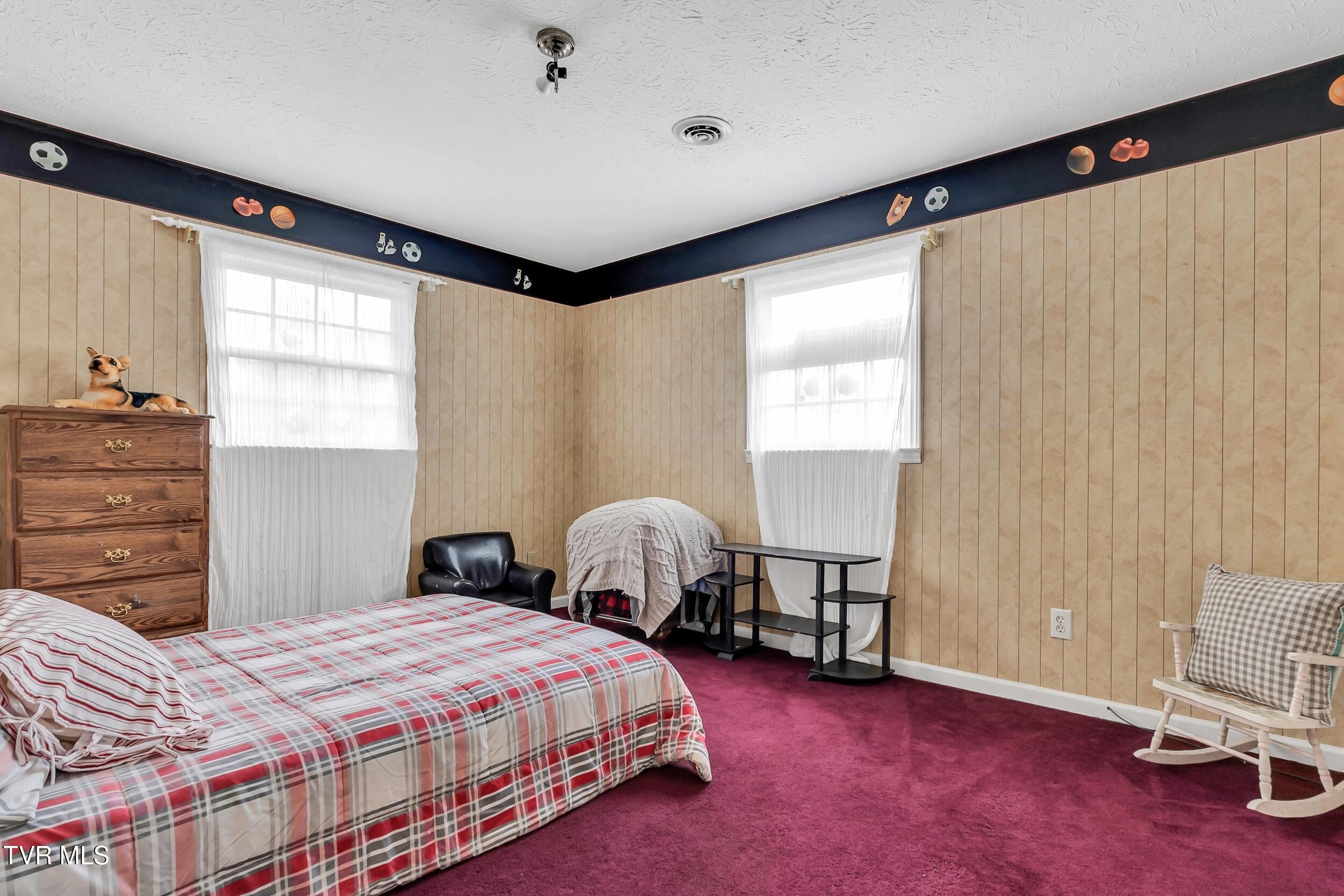 135 Minton Hollow Road, Elizabethton, Tennessee image 50