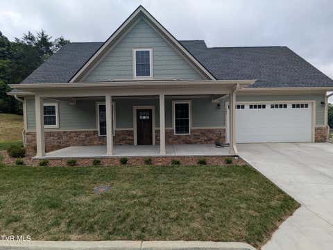 Homes For Sale - 505 Hickory Tree Pvt Drive<br/> Kingsport, TN 37663