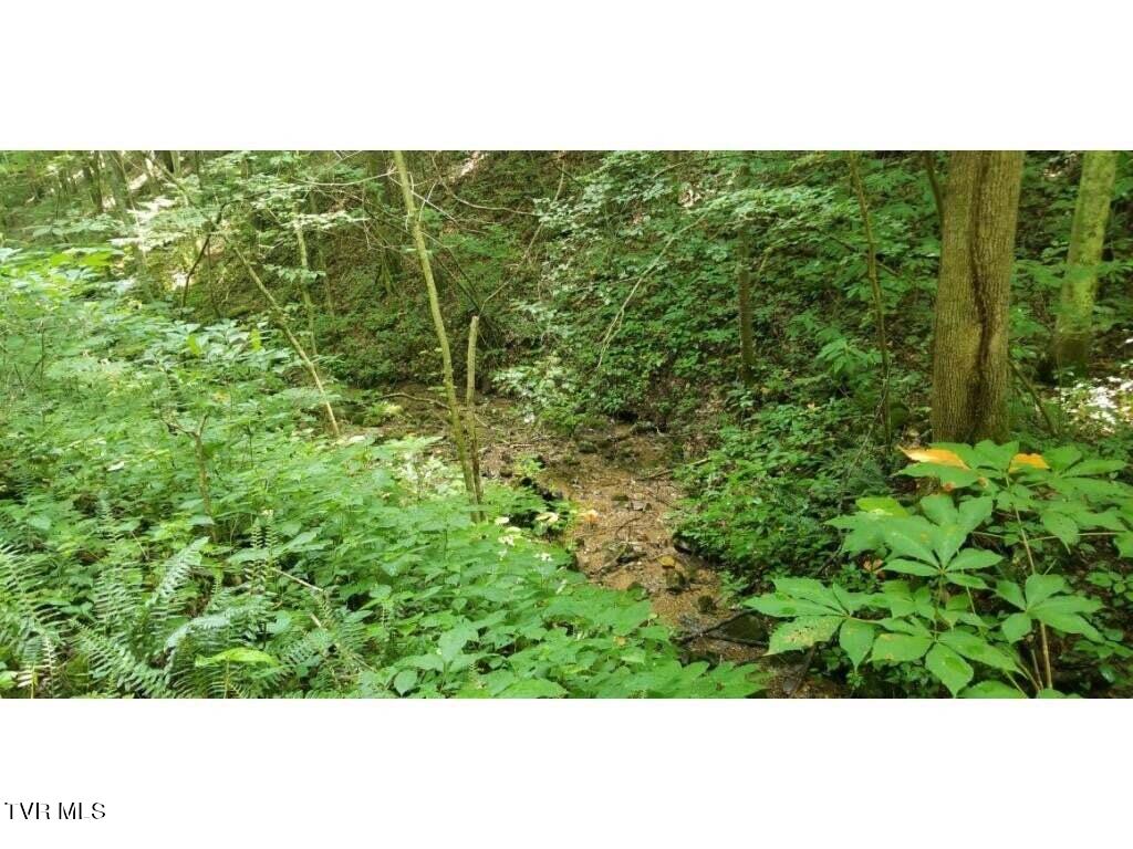 5596 Twin Springs Rd Rd, Dungannon, Virginia image 47