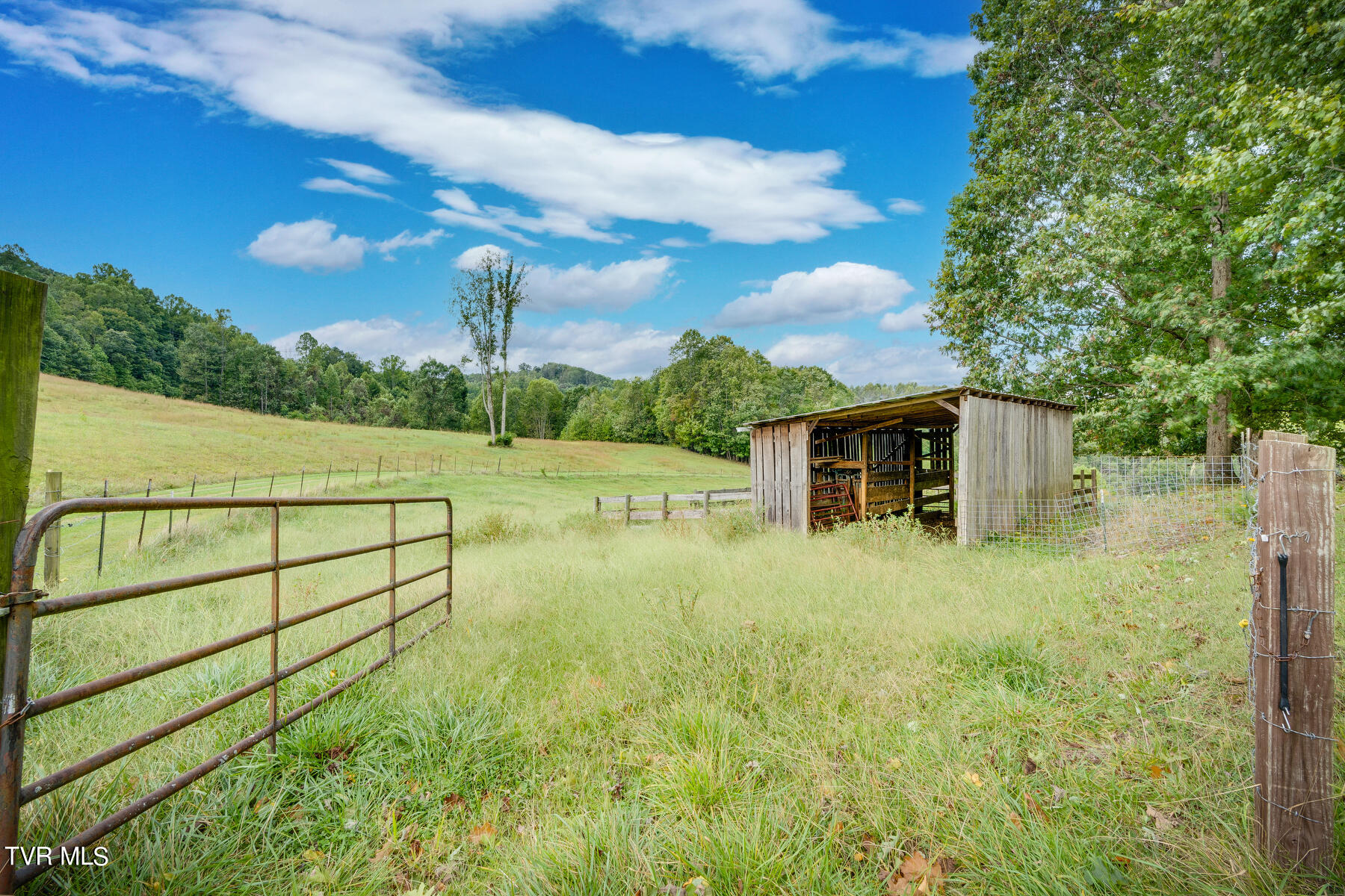 5596 Twin Springs Rd Rd, Dungannon, Virginia image 5