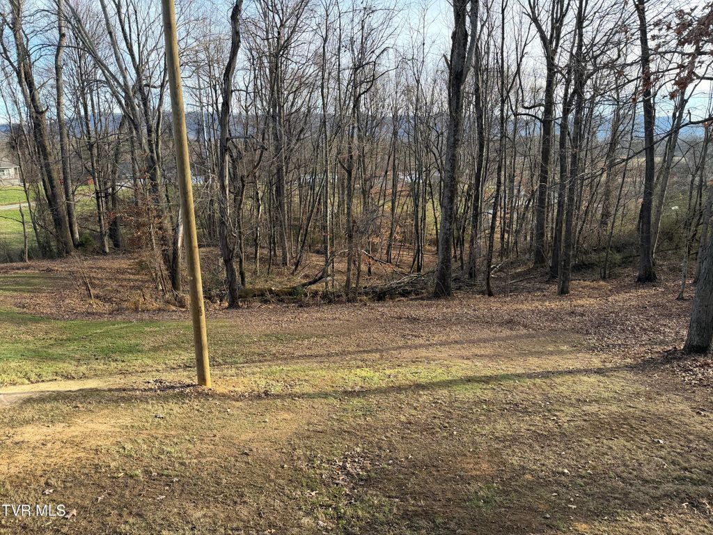 Photo of 2 Matson Road, Jonesborough, TN 37659 (MLS # 9989953)