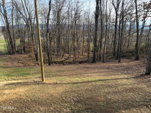 Vacant Land For Sale - TBD LOT 2 Matson Road<br/> Jonesborough, TN 37659