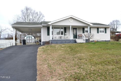 Homes For Sale - 306 Summerwood Drive<br/> Bristol, TN 37620