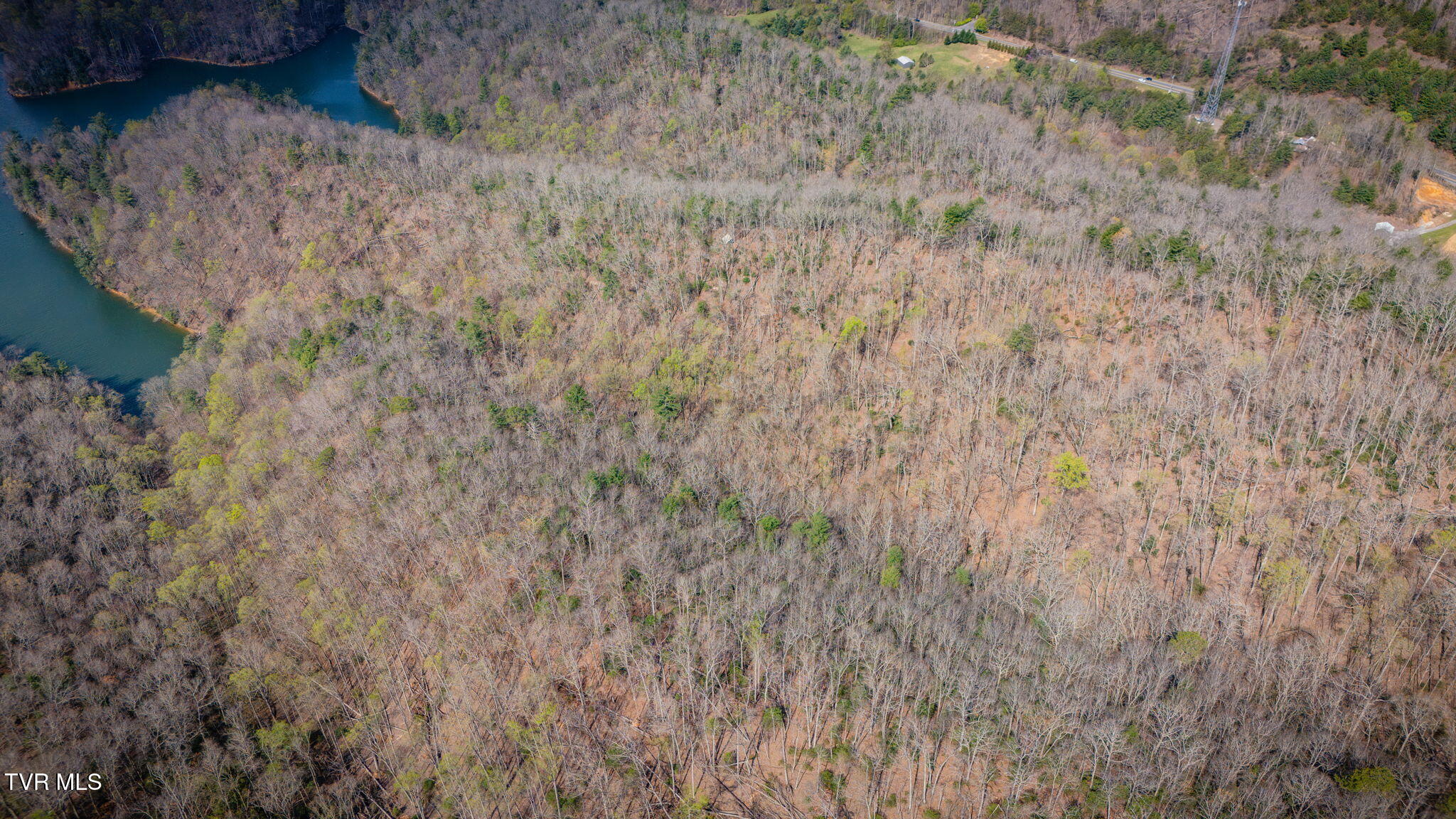 20/Ac Tbd E Of Highway 67, Butler, Tennessee image 11