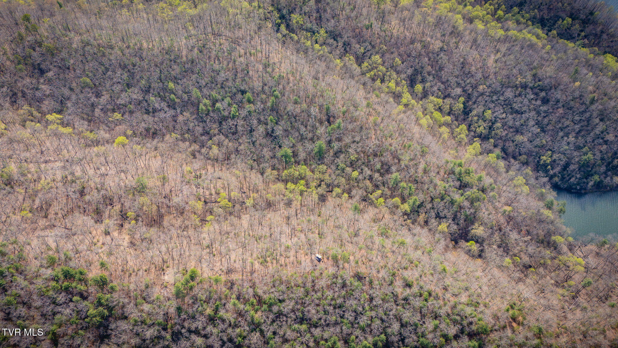 20/Ac Tbd E Of Highway 67, Butler, Tennessee image 8