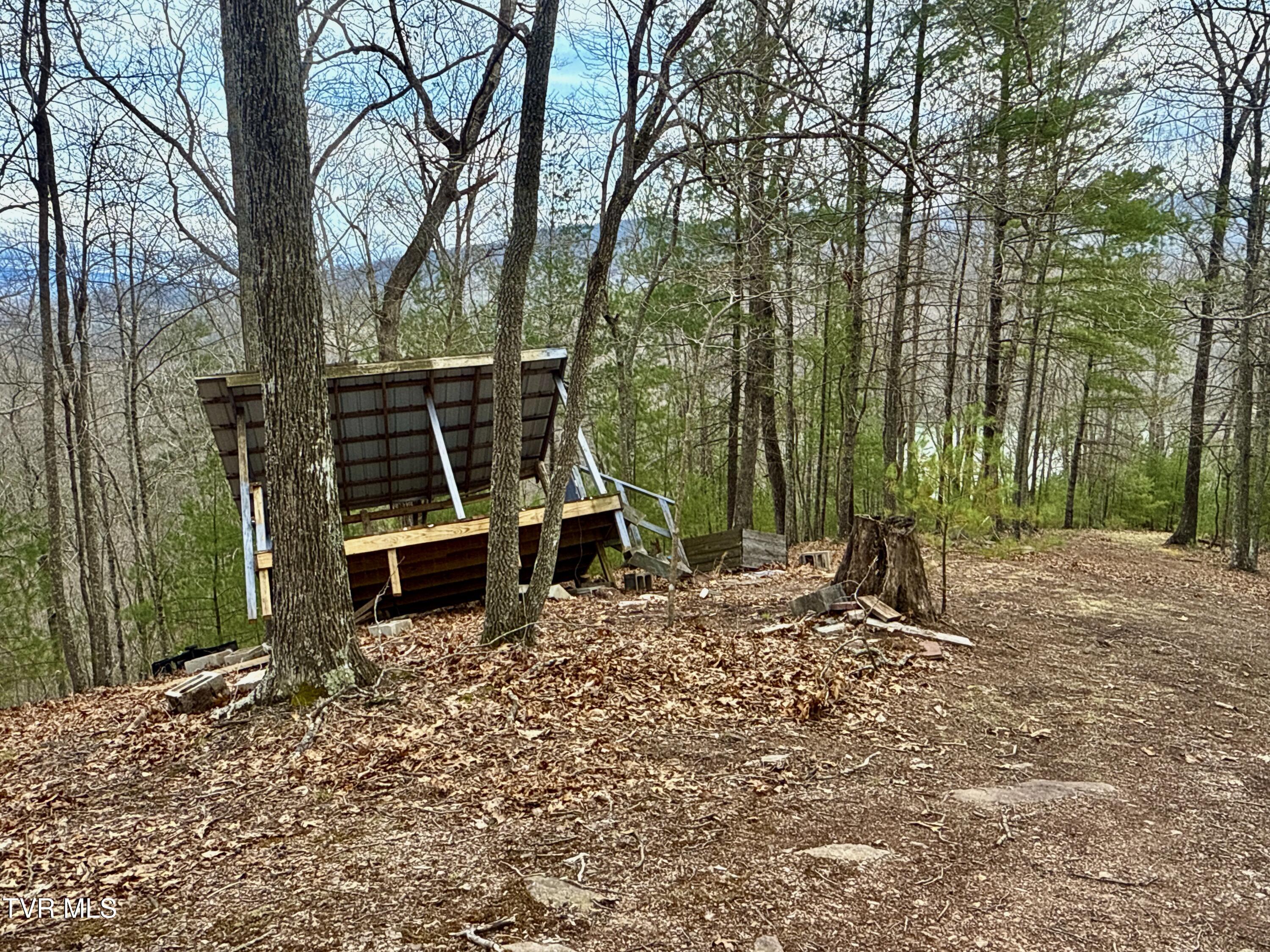 20/Ac Tbd E Of Highway 67, Butler, Tennessee image 7