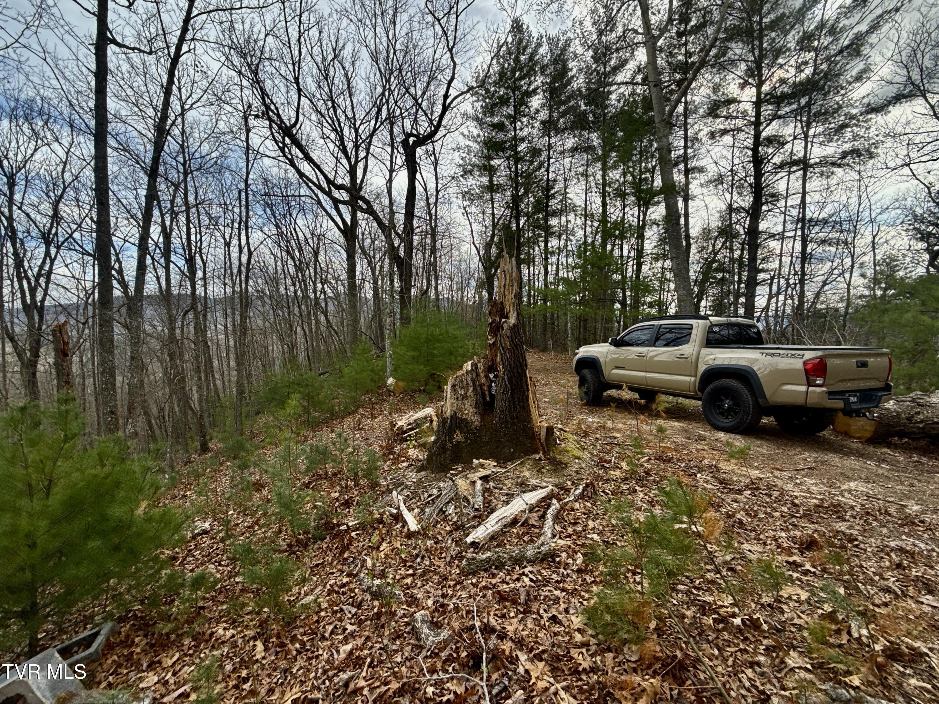 20/Ac Tbd E Of Highway 67, Butler, Tennessee image 11