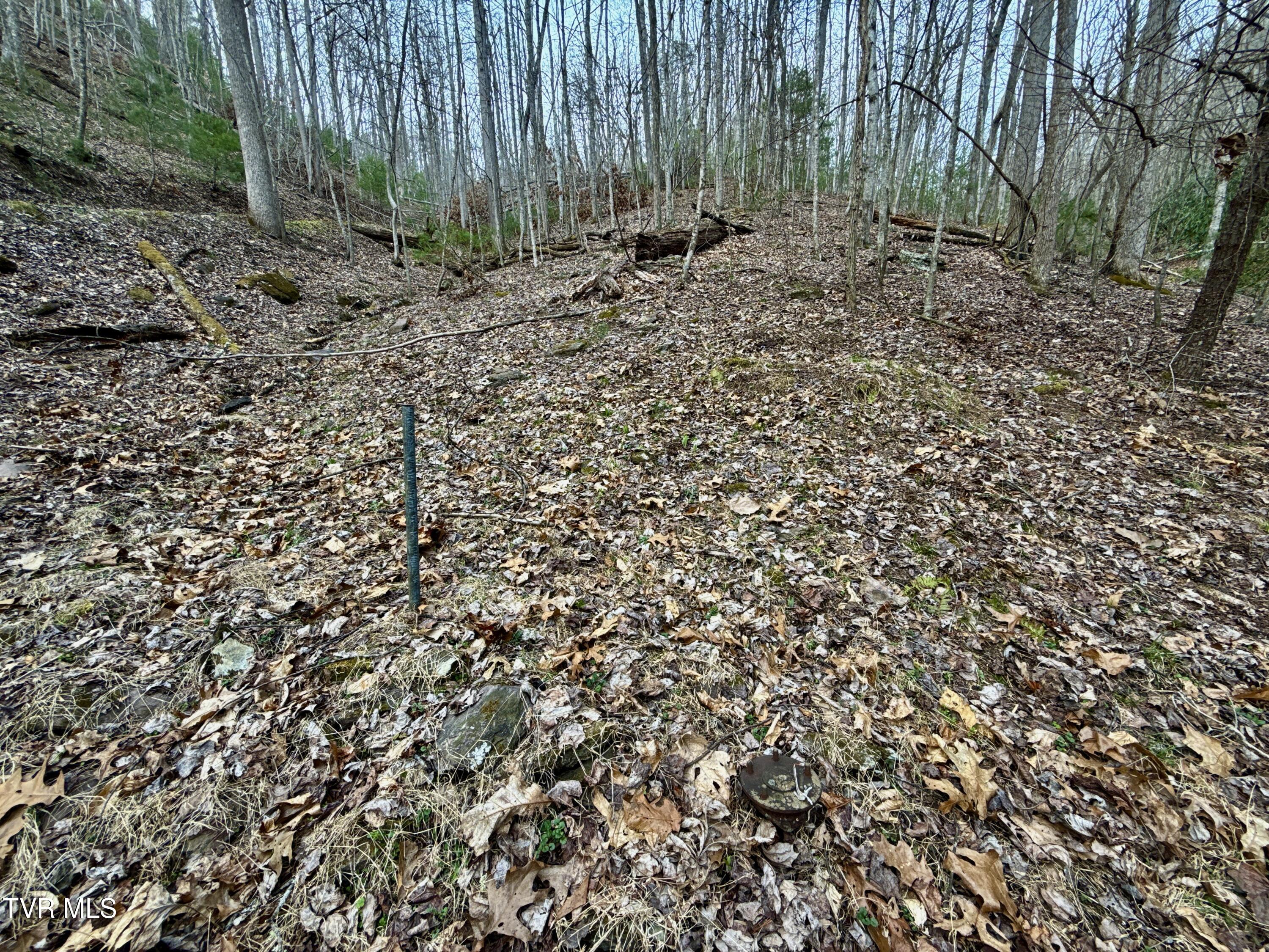 20/Ac Tbd E Of Highway 67, Butler, Tennessee image 9