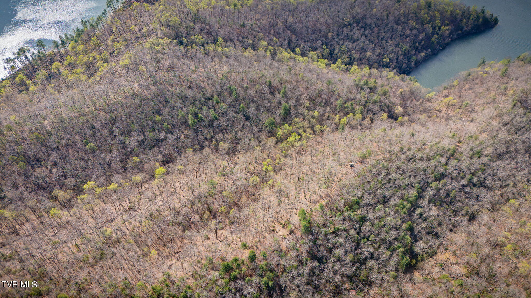 20/Ac Tbd E Of Highway 67, Butler, Tennessee image 9