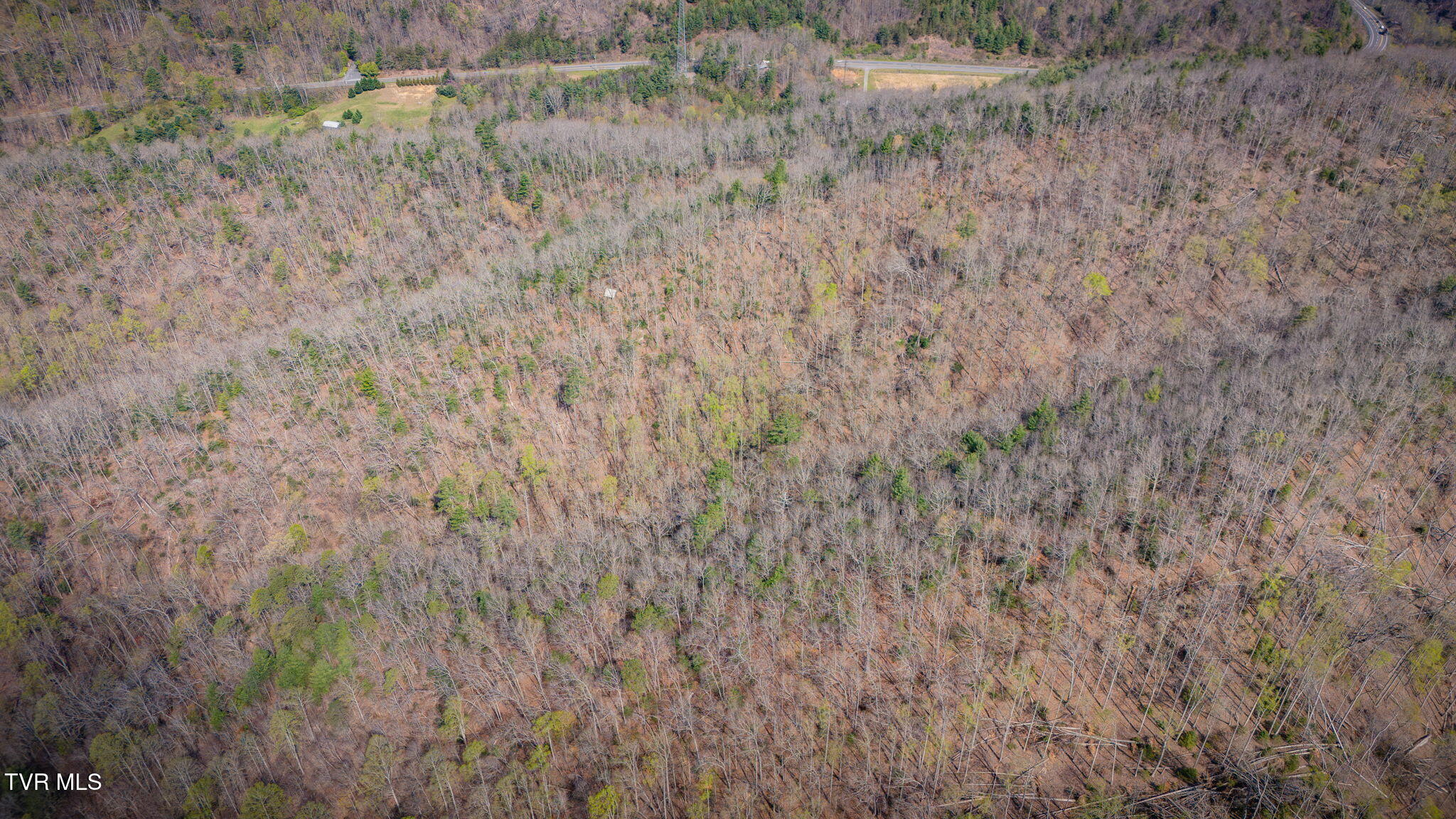 20/Ac Tbd E Of Highway 67, Butler, Tennessee image 12
