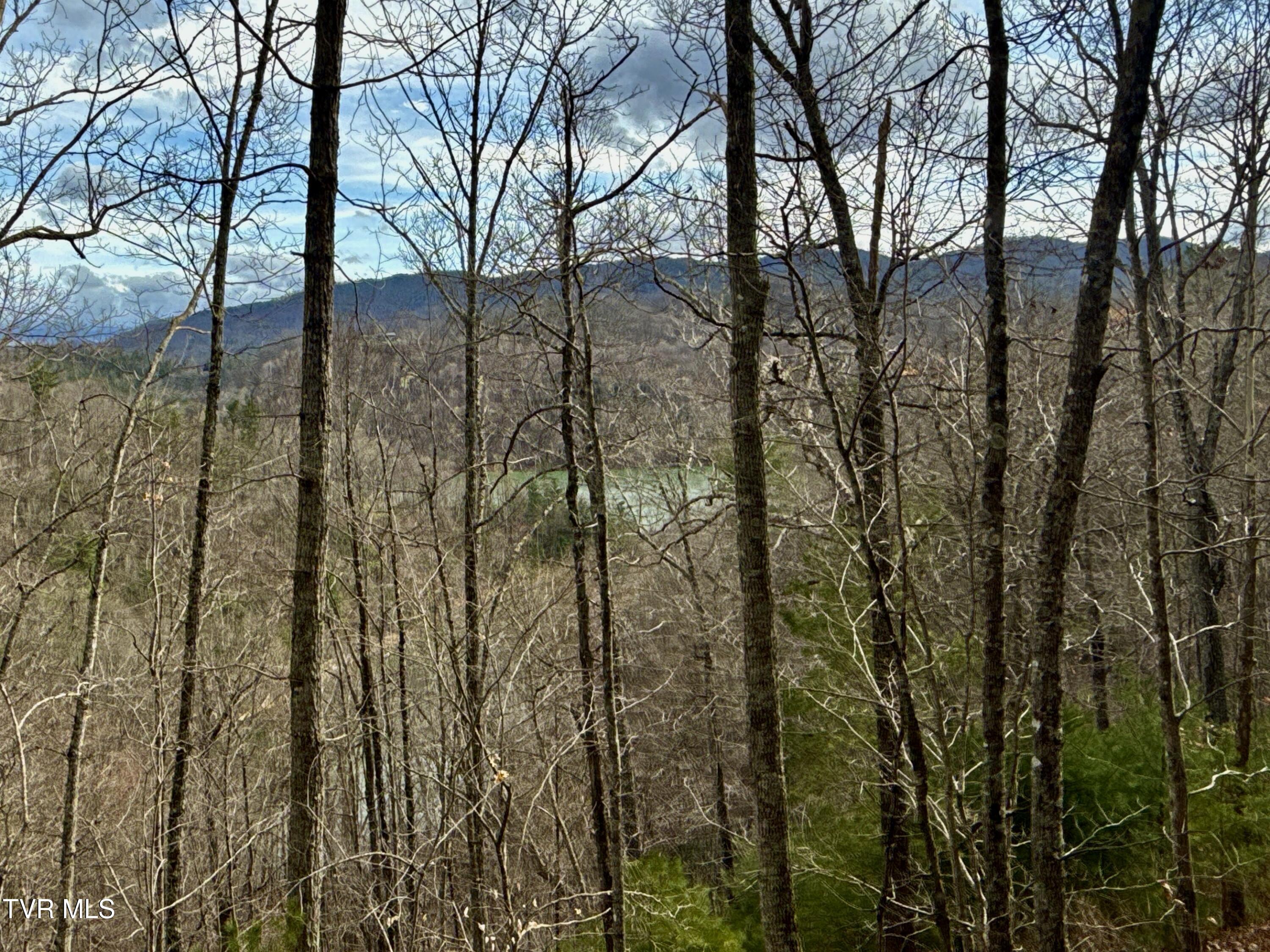 20/Ac Tbd E Of Highway 67, Butler, Tennessee image 5