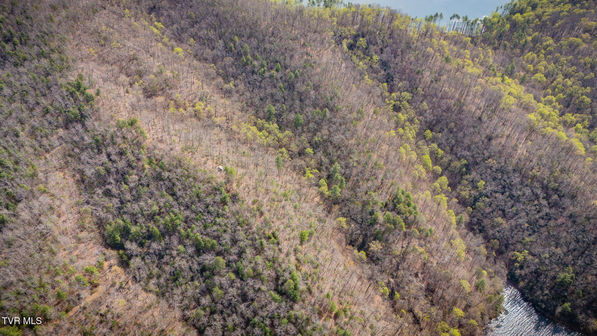 20/Ac Tbd E Of Highway 67, Butler, Tennessee image 10