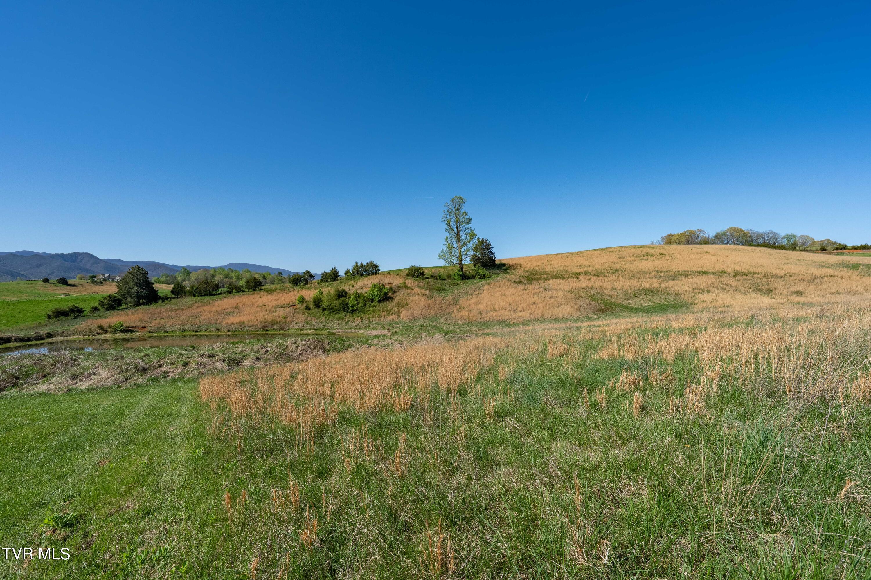 364 Laws Road, Limestone, Tennessee image 40
